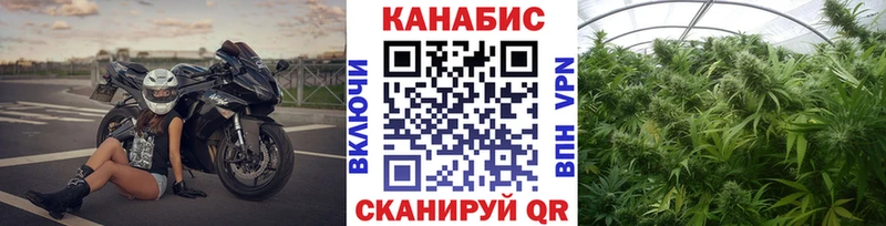 Каннабис индика наркота Волжский